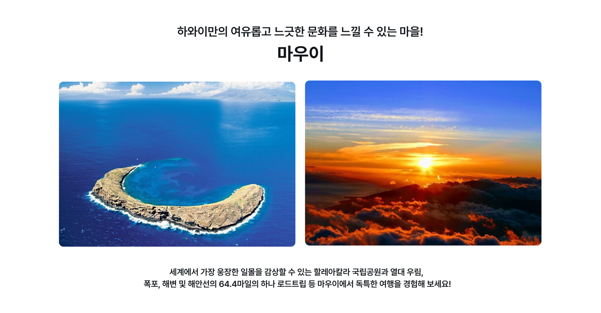 더보기-1.jpg