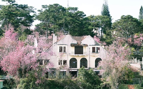 홈스테이 투이 둥