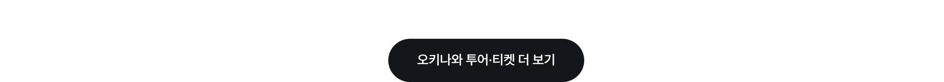 오키나와3.jpg