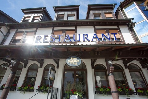 호텔 & 레스토랑 골데너 플루크