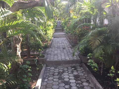 스쿠바 트라이브 발리 다이브-리조트