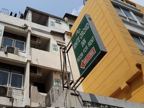 화이트 오키드 인