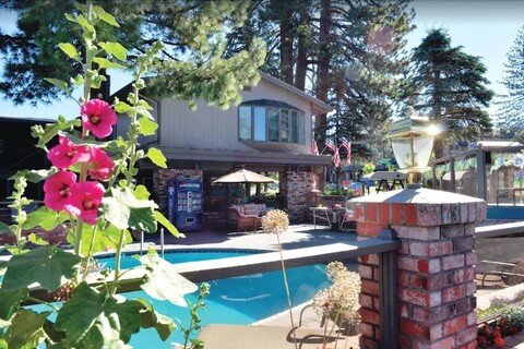 스타더스트 로지