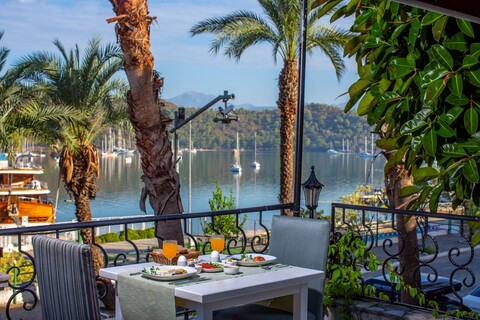 빌라 다포딜 - 스페셜 클래스