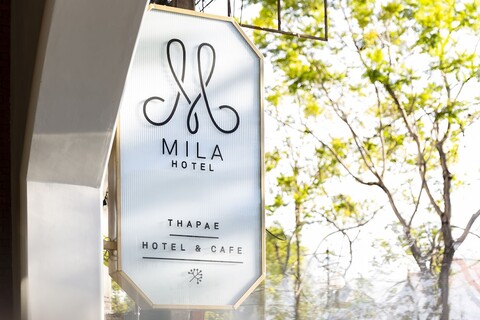 밀라 타패@치앙마이 올드 시티