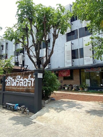 왈리파이 리조트