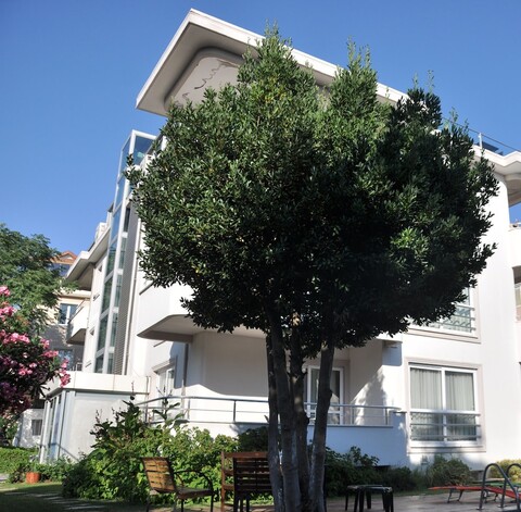 드라고스 아일랜드 호텔