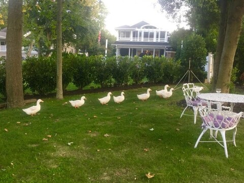 월든 온 더 폰드 호텔