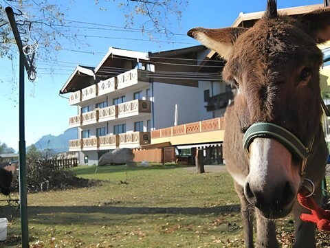 Klawunn Hotel & Apartement