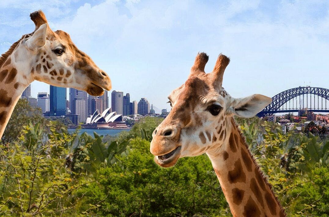 여행 상품 이미지