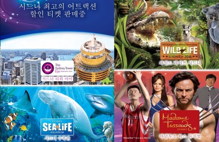 [할인콤보] 시드니 타워 / 수족관 / 와일드라이프 / 마담투소-i