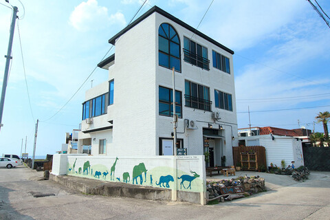 제주 눈큰새우 게스트하우스