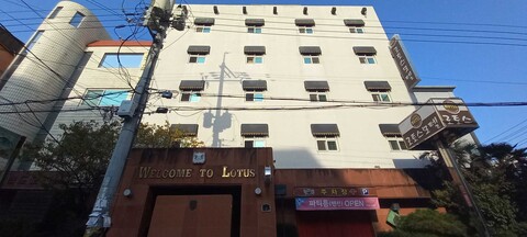 포항 죽도동 로토스