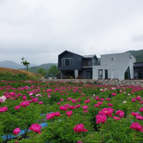 경주 제이제이갤러리카페펜션