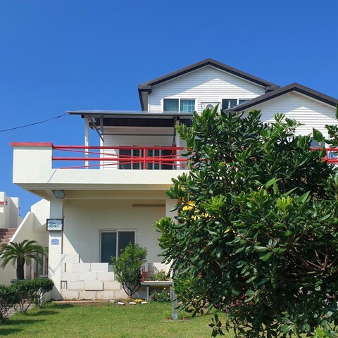 제주 월정올리바펜션