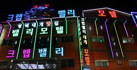 영덕 강구항 밸리