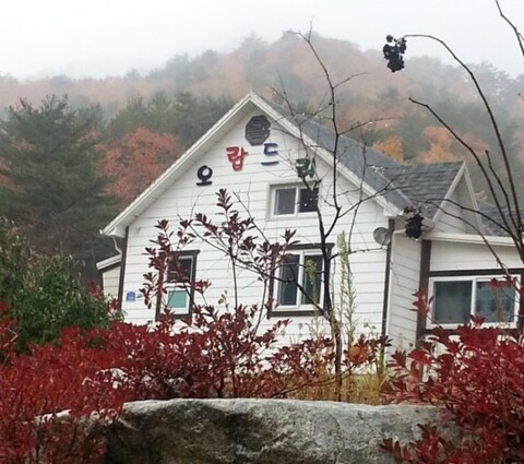 강릉 오랍드리펜션