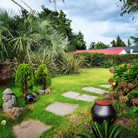 제주 골오기네 스테이