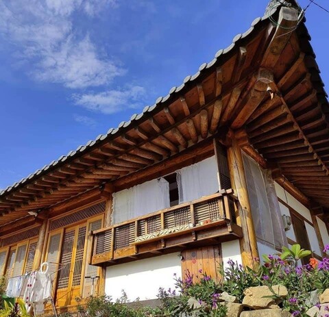 담양 살구나무 한옥민박