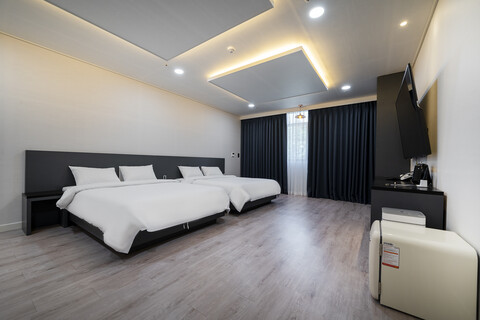 강릉 경포대 자작나무