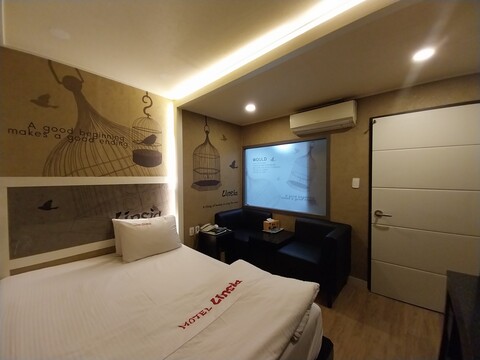 대구 경북대 린시아