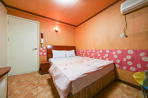 대구 엑스코 코스모스