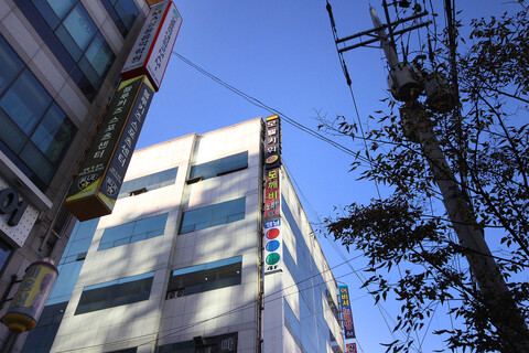 김해 외동 키위