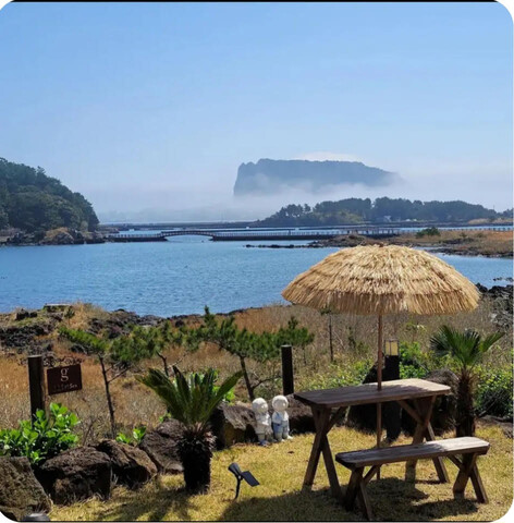 제주 오조숙녀sea