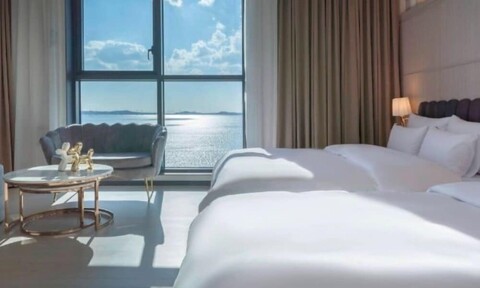 브라운도트 거북섬