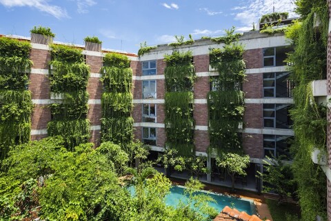 멀버리 컬렉션 실크 에코