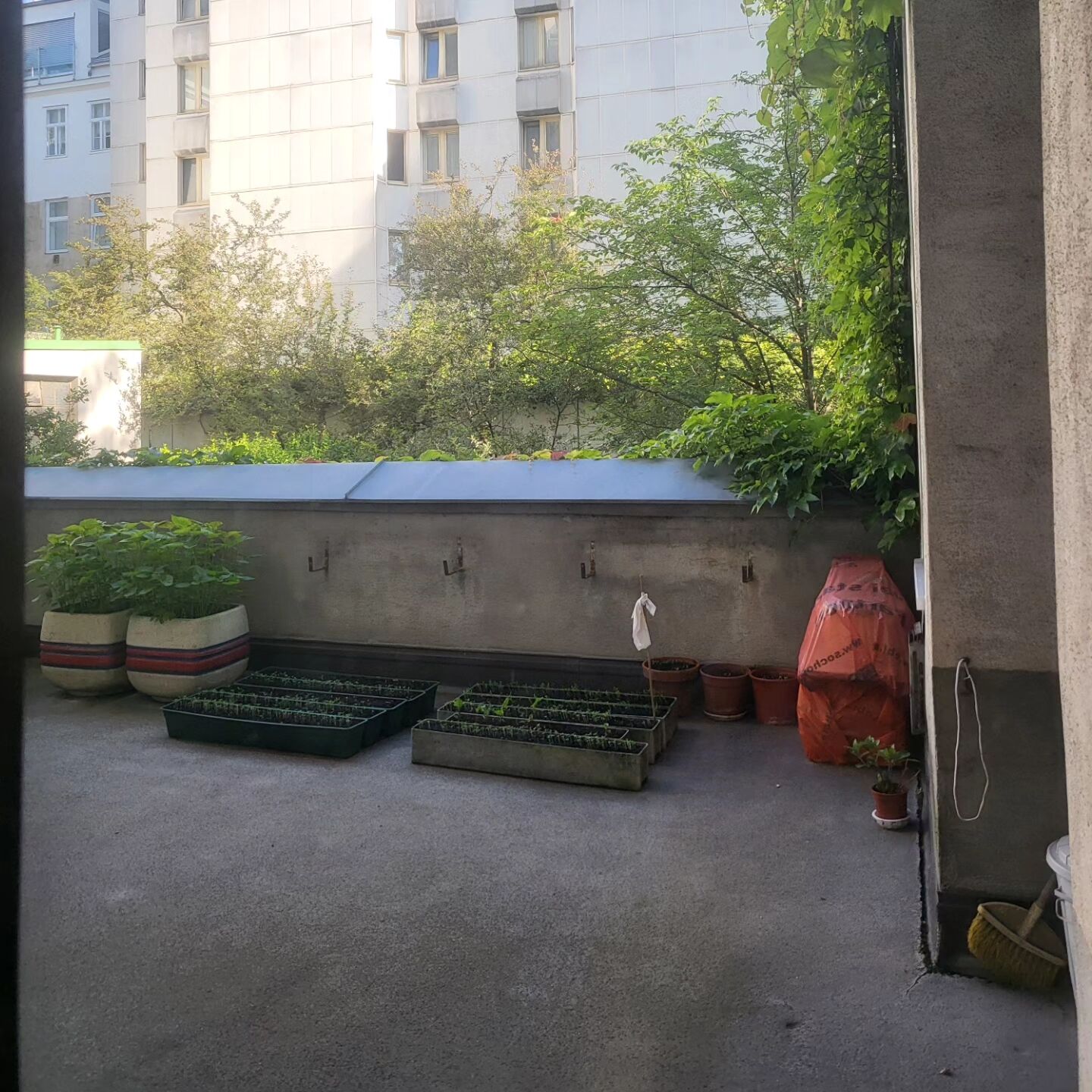 후기 사진