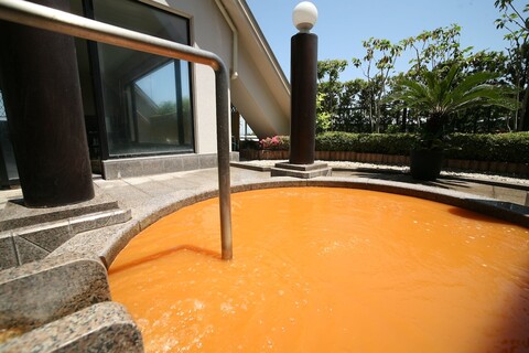 아리마 핫 스프링 료칸 하나무수비