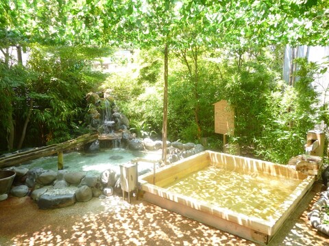 웰니스 노 모리 이토