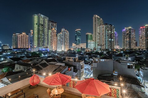 몽고 맘피르 바이 레코마