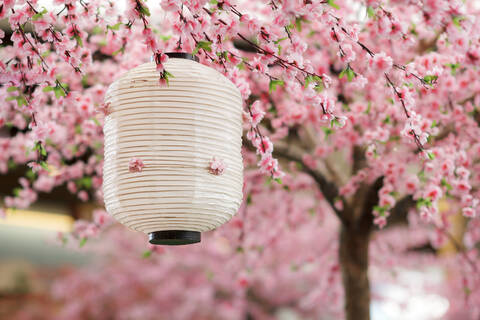 product-thumbnail-1