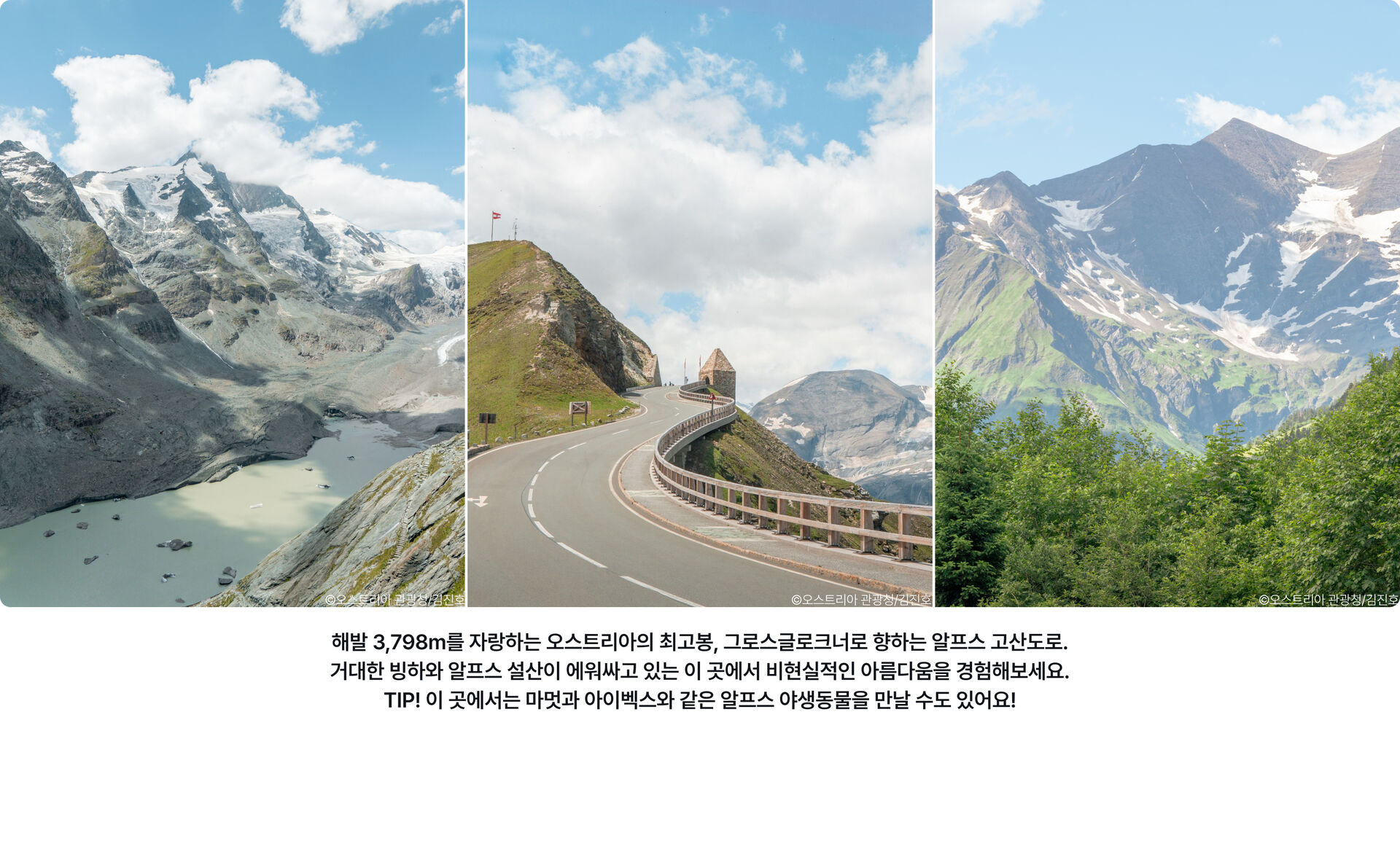 pc-20_그로스글로크너.jpg