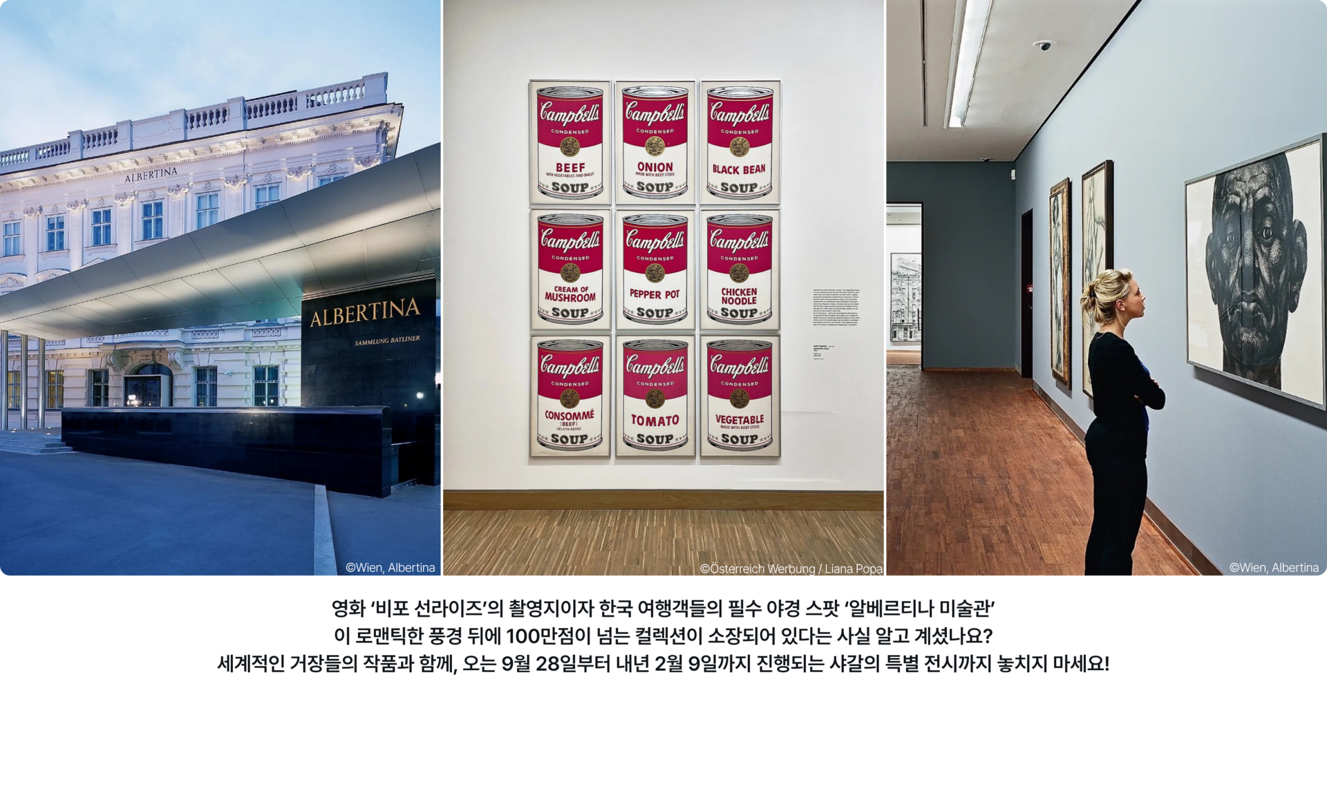 pc-7_콘월.jpg