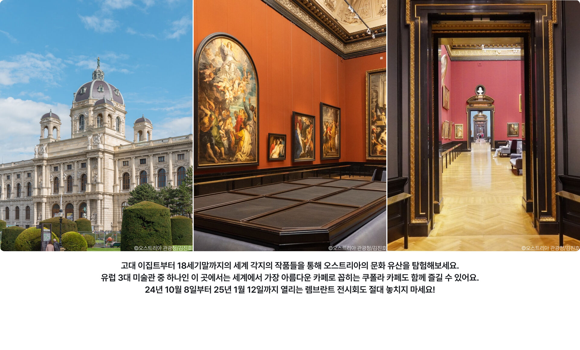 pc-3_비엔나미술사박물관.jpg