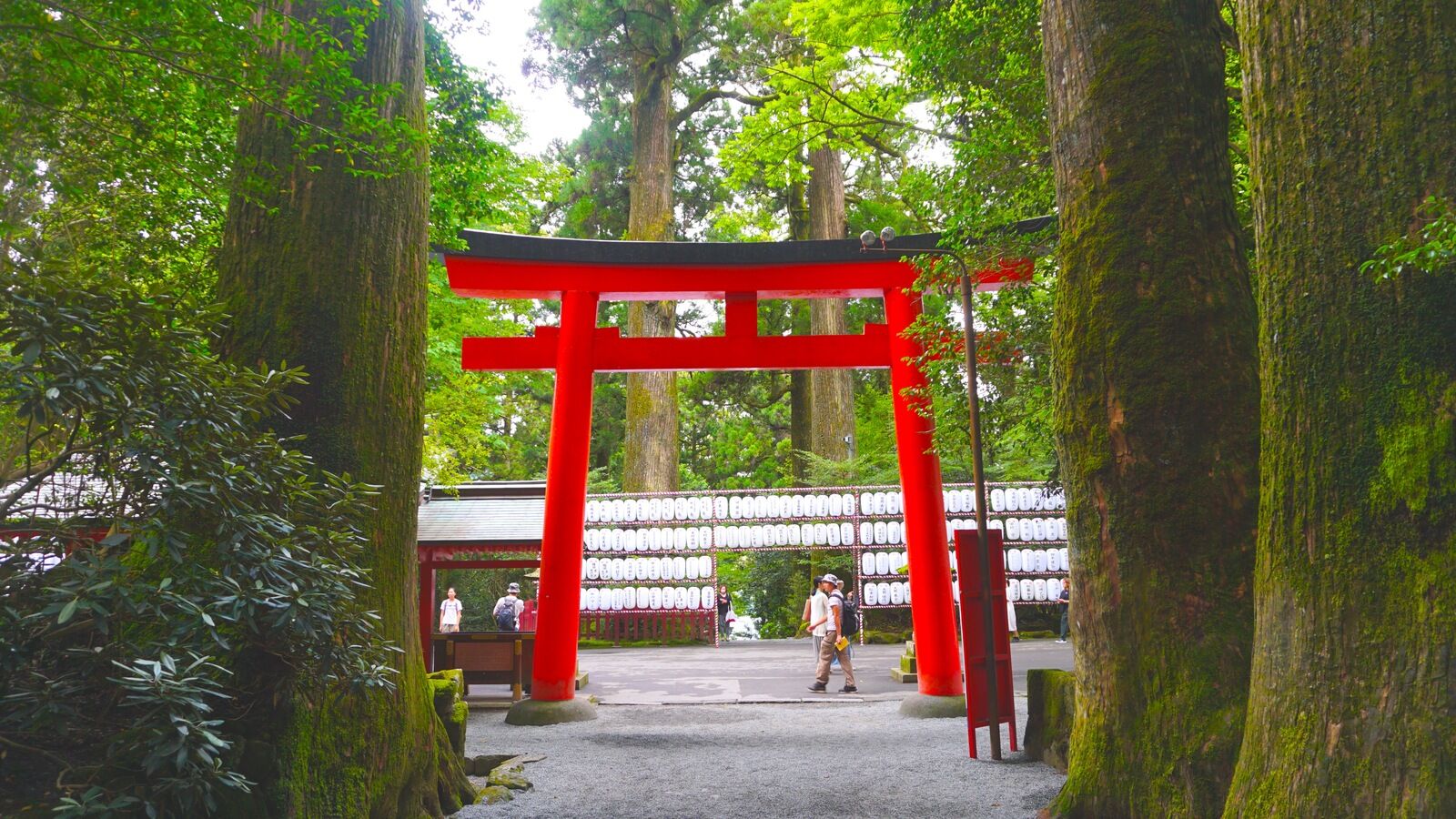 여행 상품 이미지