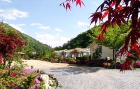 평창 원경(圓鏡)펜션