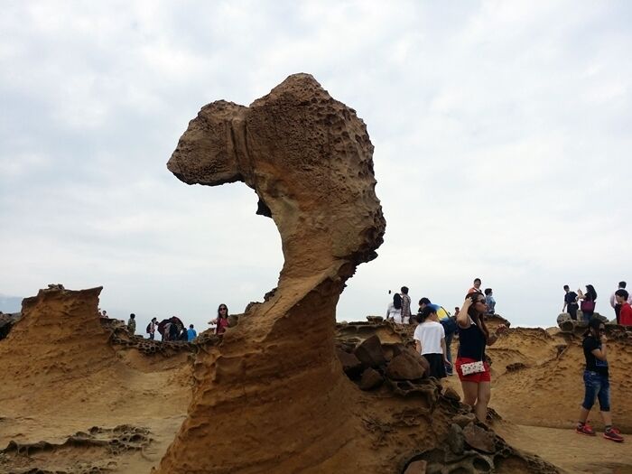 한국어밴투어 7~9인승 다수보유 프라이빗투어 /