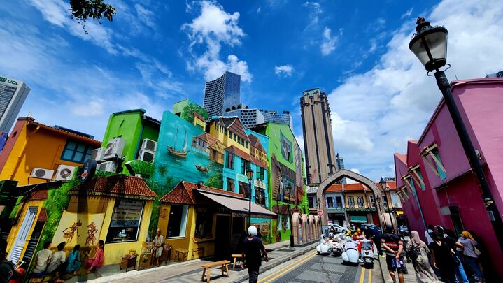 싱가포르 데이투어A (주요코스: 보타닉가든+동물원+술탄모스크&하지레인+차이나타운+센토사섬)-i