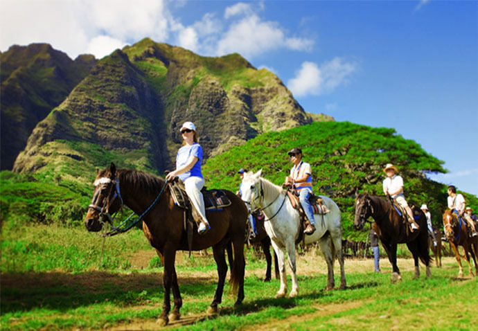 여행 상품 이미지