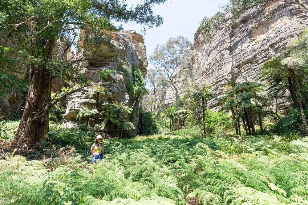 여행 상품 이미지