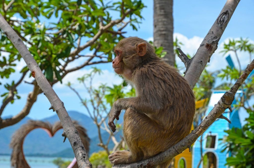 여행 상품 이미지