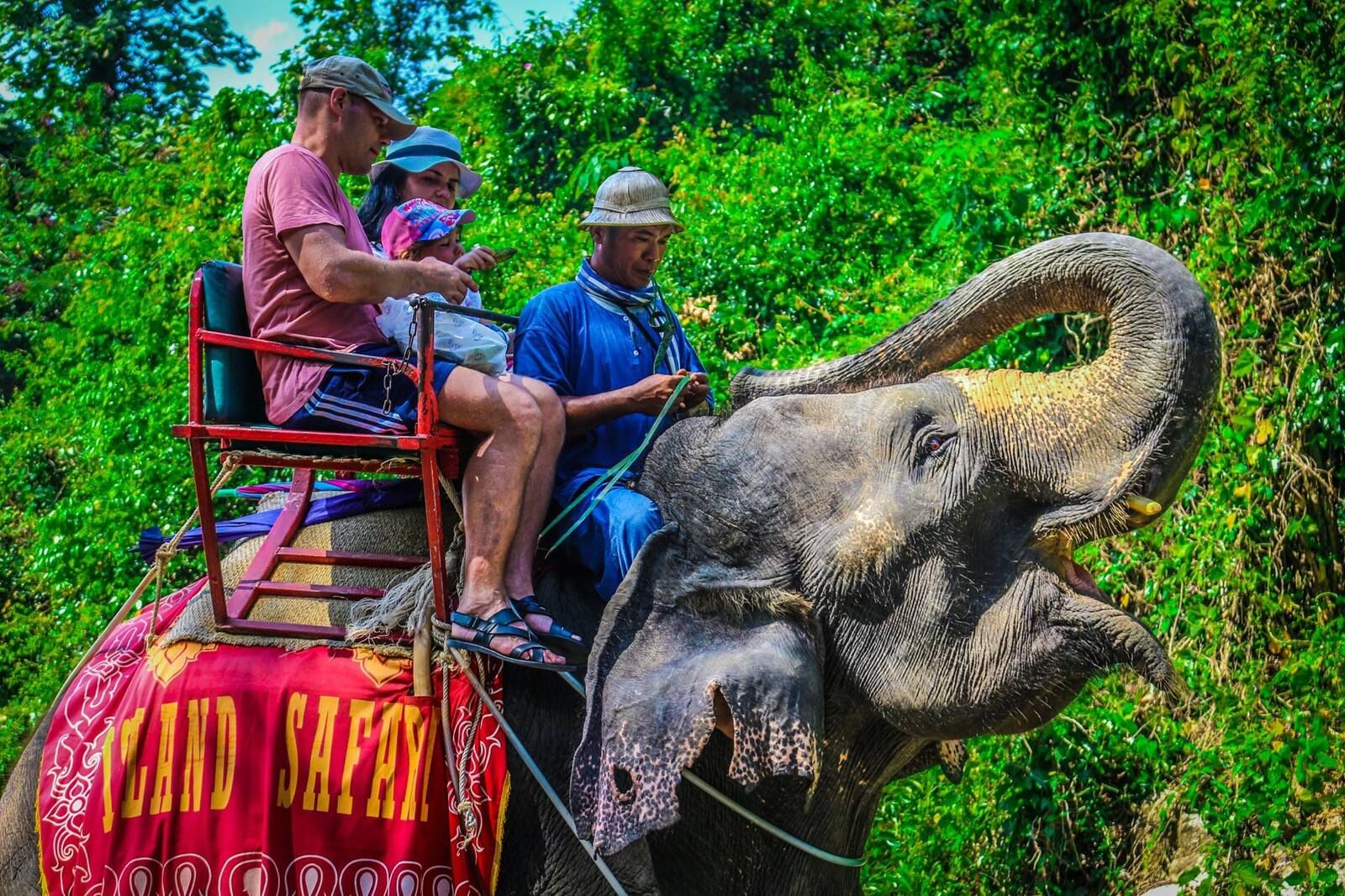 여행 상품 이미지