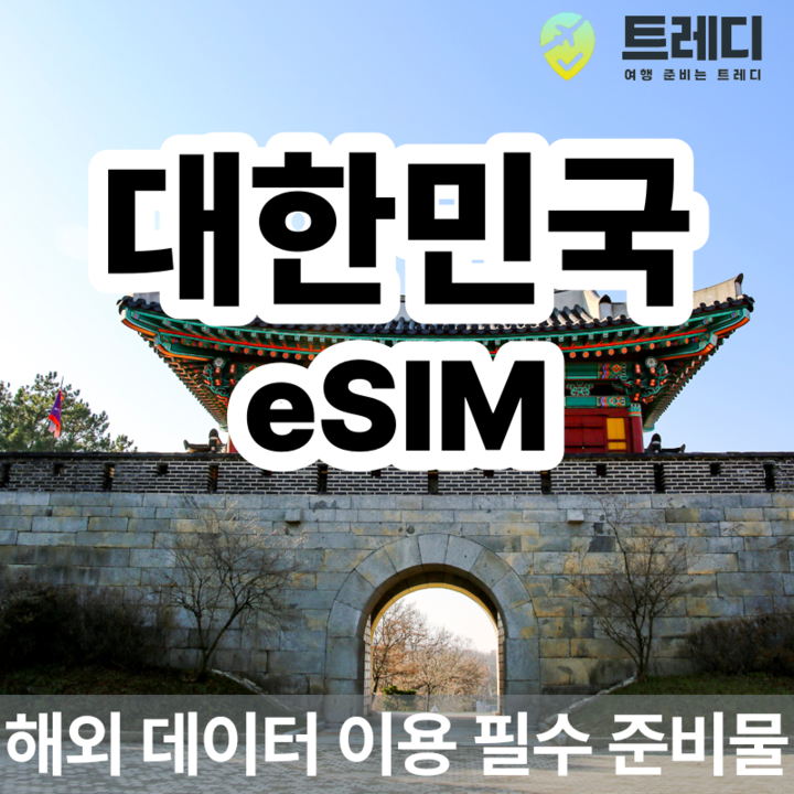 한국 Korea SKT eSIM (카톡, 이메일 실시간 발송)-i
