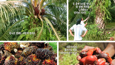 product-thumbnail-4