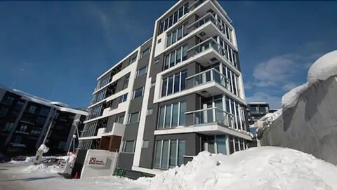 스노우 크리스탈