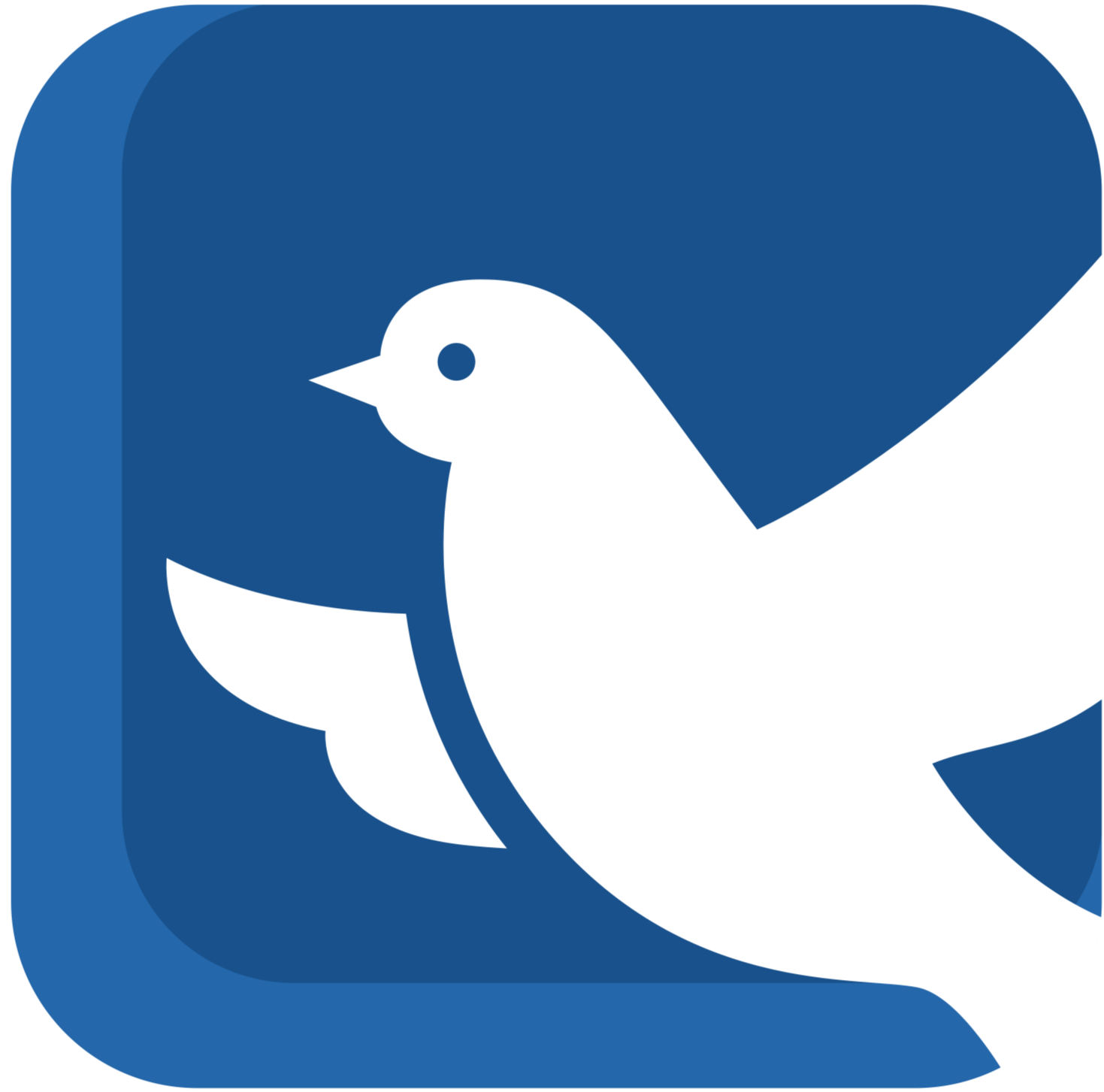 블루버드여행사